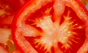 Primer plano de un tomate