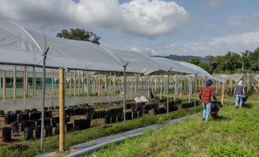 Calidad e inocuidad en producción agropecuaria y agroindustrial.